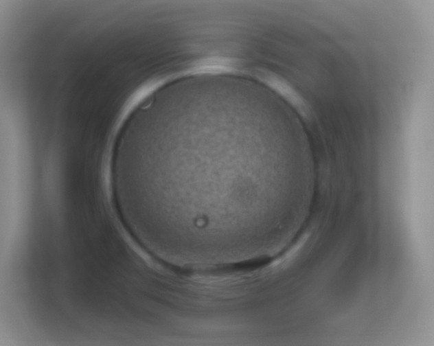 X0000113861469200909241258
