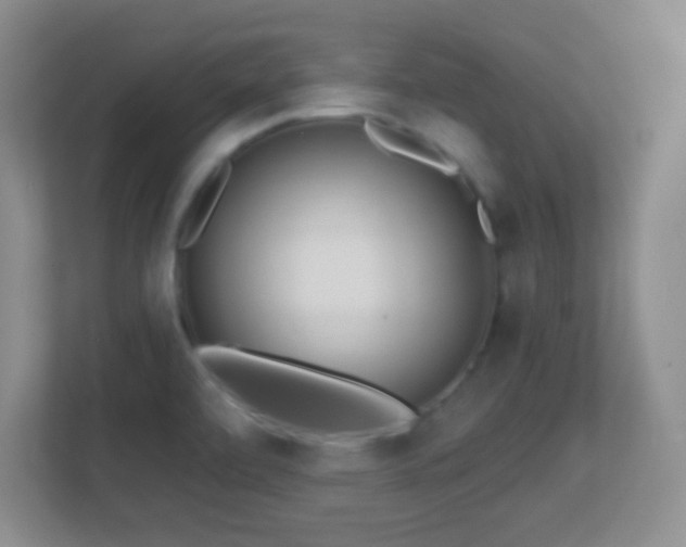 X0000113861472200909241258
