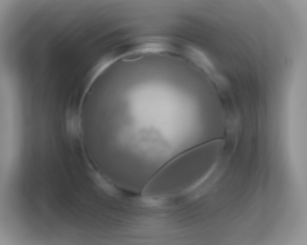 X0000113861473200909241258