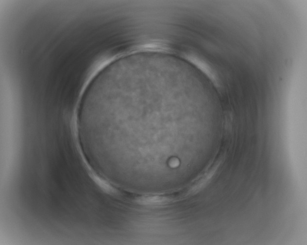 X0000113861474200909241258