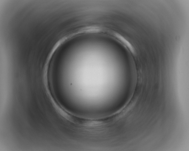 X0000113861475200909241258