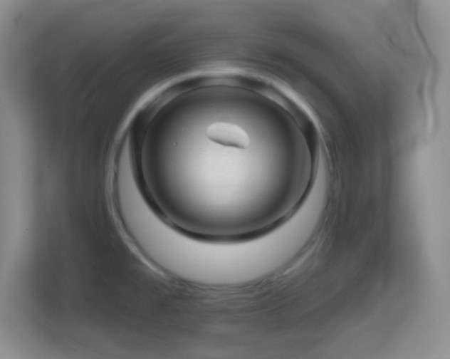X0000113861477200909241258