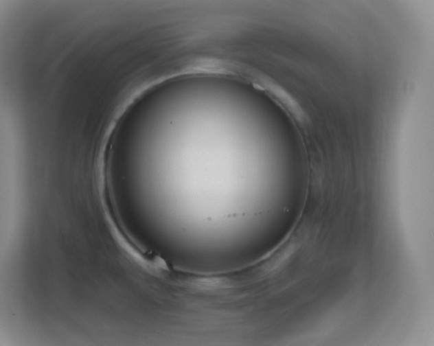 X0000113861479200909241258