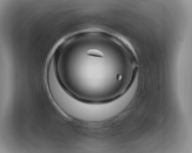 X0000113861480200909241258