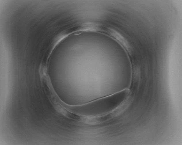 X0000113861481200909241258