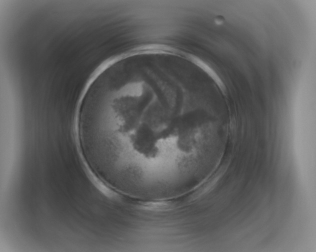 X0000113861482200909241258