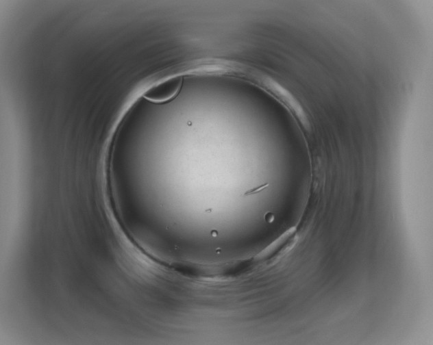 X0000113861483200909241258