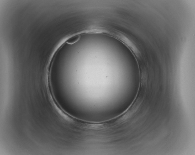 X0000113861484200909241258