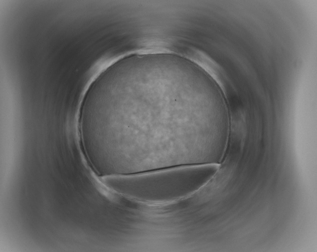 X0000113861485200909241258