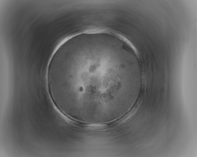 X0000113861487200909241257