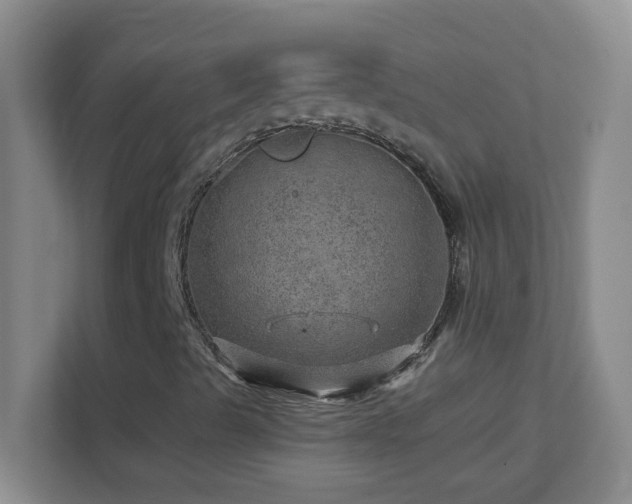 X0000113861489200909241257