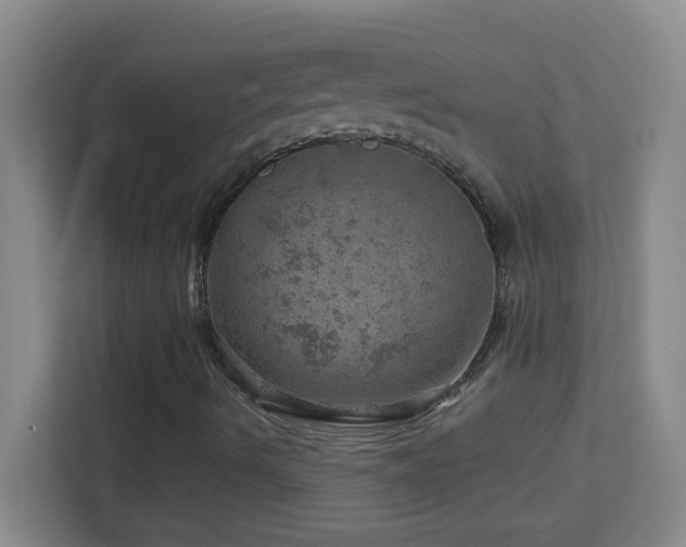 X0000113861490200909241257