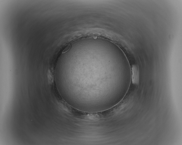 X0000113861491200909241257