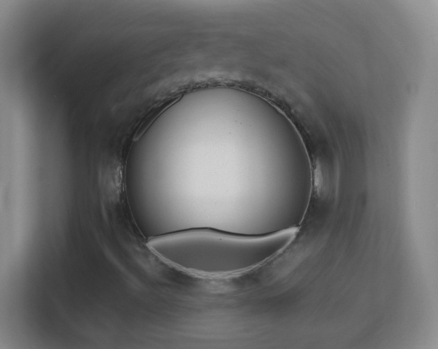 X0000113861492200909241257