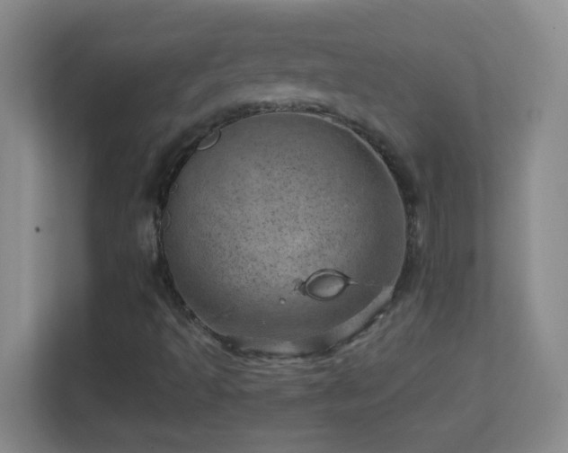 X0000113861493200909241257
