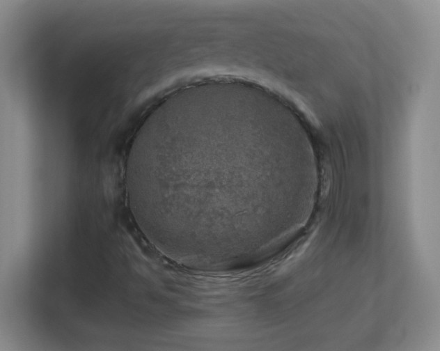 X0000113861494200909241257