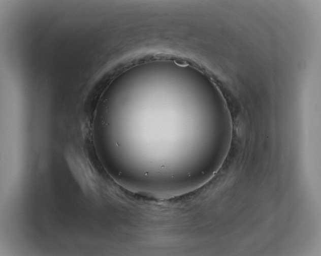 X0000113861495200909241257