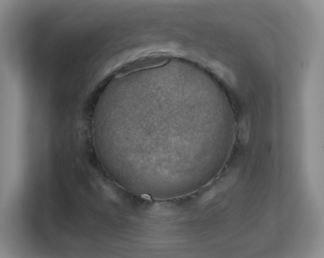 X0000113861496200909241257