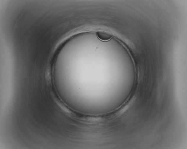X0000113861498200909241257