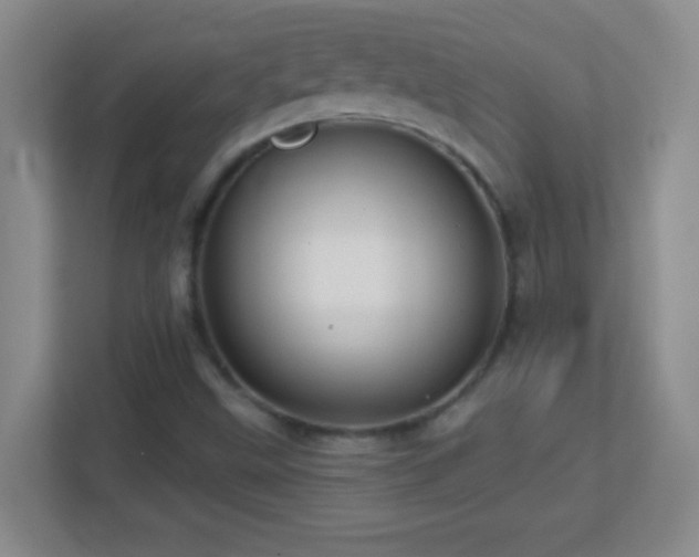 X0000113861499200909241257