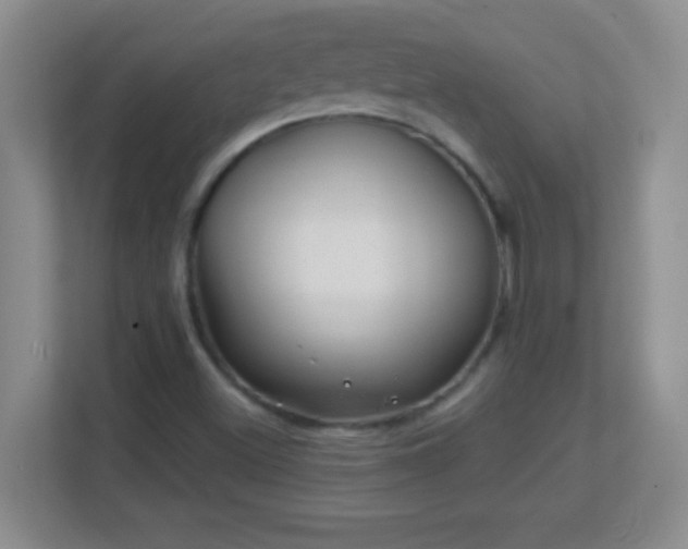 X0000113861500200909241257