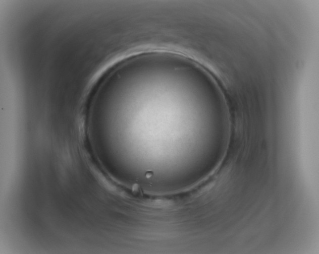 X0000113861503200909241257