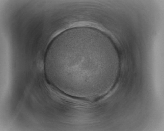 X0000113861505200909241257