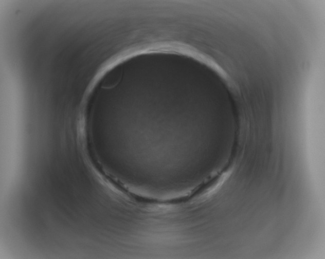 X0000113861506200909241257