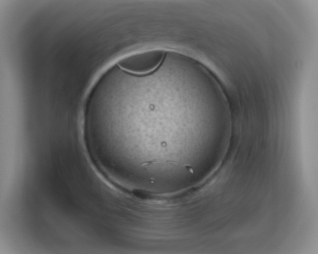 X0000113861508200909241257