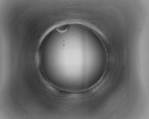 X0000113861510200909241257