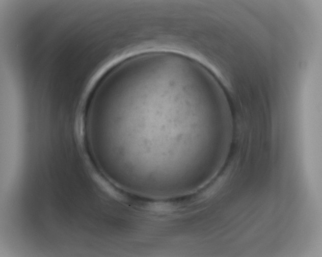 X0000113861511200909241257