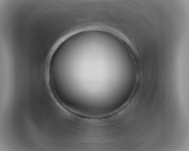 X0000113861512200909241257