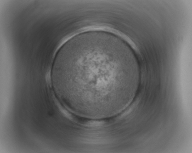 X0000113861513200909241257