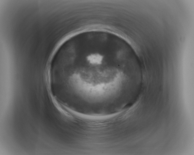 X0000113861515200909241257