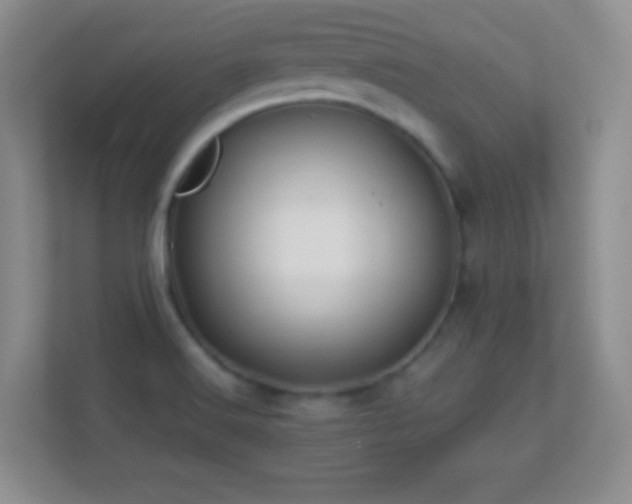 X0000113861516200909241257