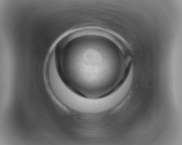 X0000113861518200909241257