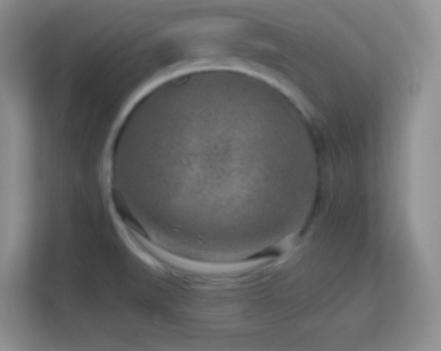 X0000113861519200909241257