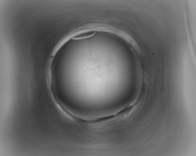 X0000113861520200909241257