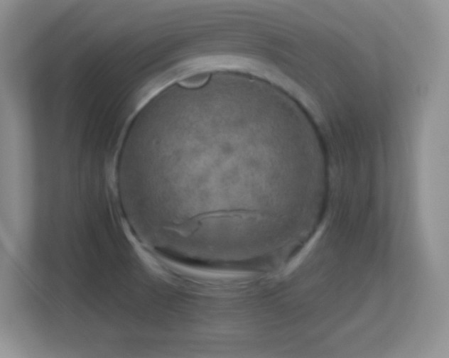 X0000113861521200909241257