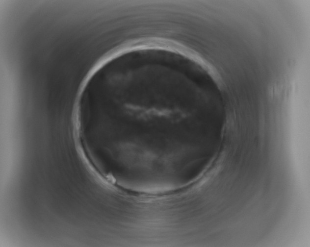 X0000113861522200909241257