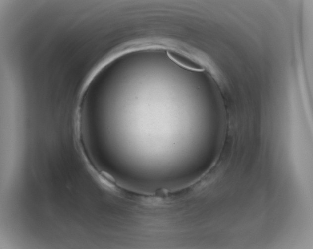 X0000113861524200909241257
