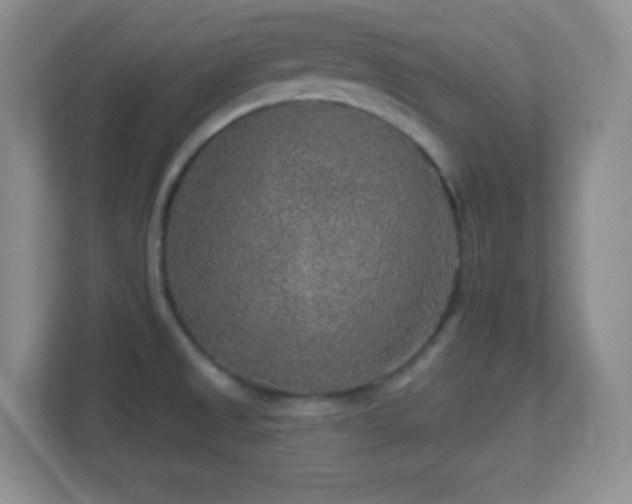 X0000113861525200909241257