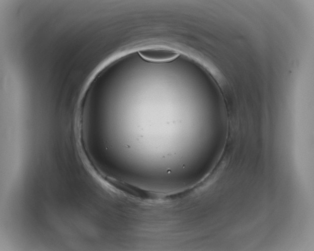 X0000113861526200909241257