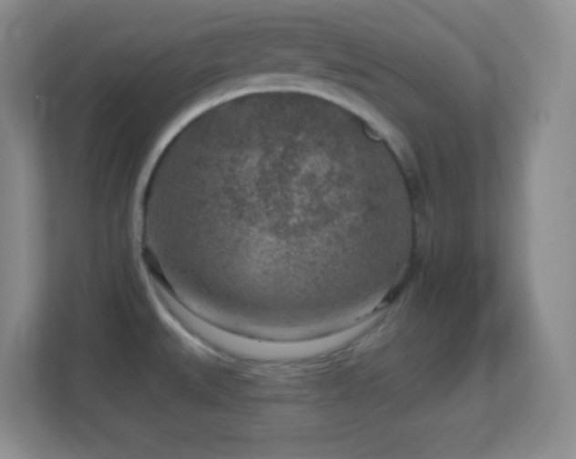 X0000113861527200909241257
