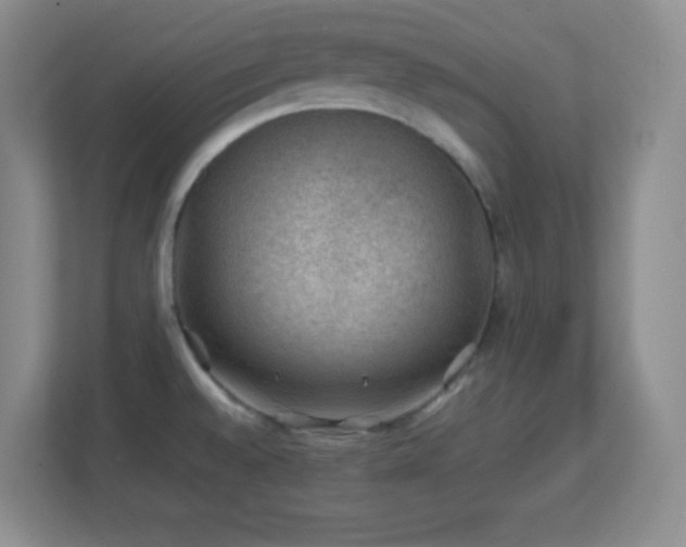 X0000113861528200909241257