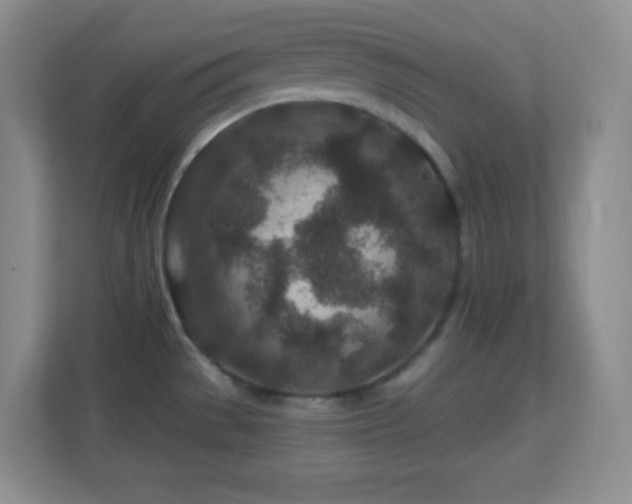 X0000113861529200909241257