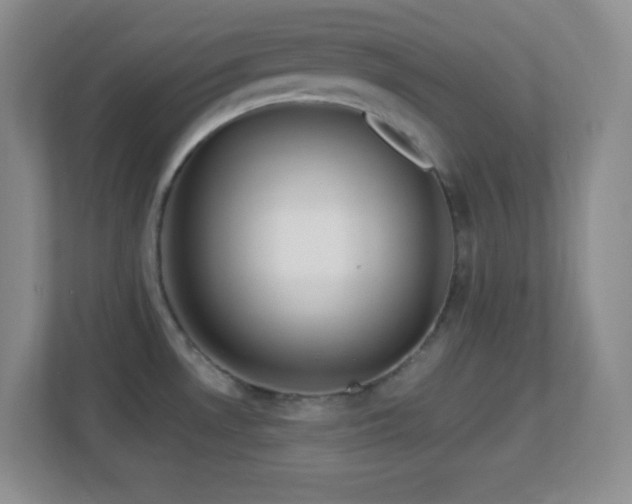 X0000113861530200909241257