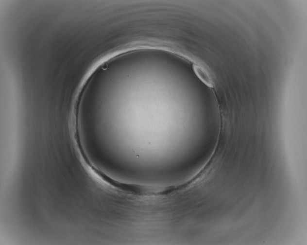 X0000113861531200909241257