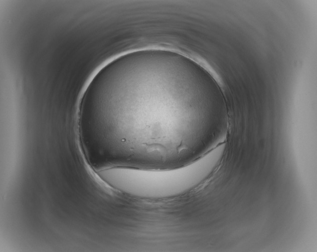 X0000113861532200909241257