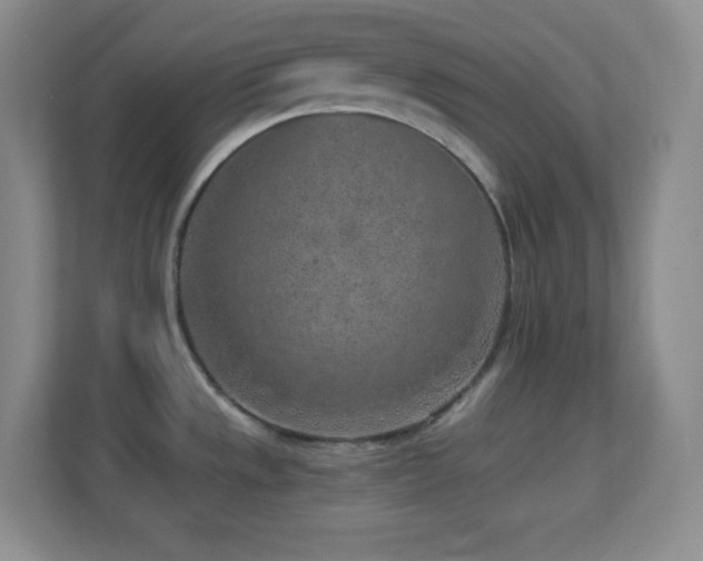 X0000113861533200909241257
